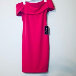 REBECCA B Strapless Fuchsia Dress NWT